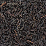 Colombo Bio