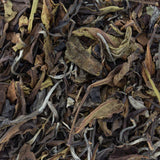 Tam Duong Bio