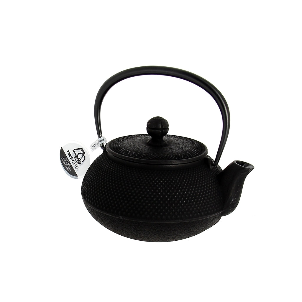 Théière Fonte Japon IWACHU Arare Noire 0.55L