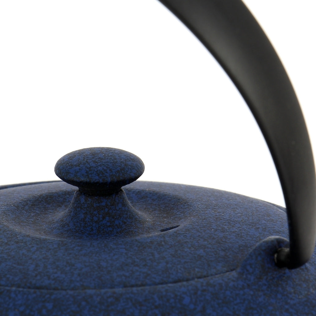 Théière Fonte Japon Wazuqu Fuku Bleue 0.55L