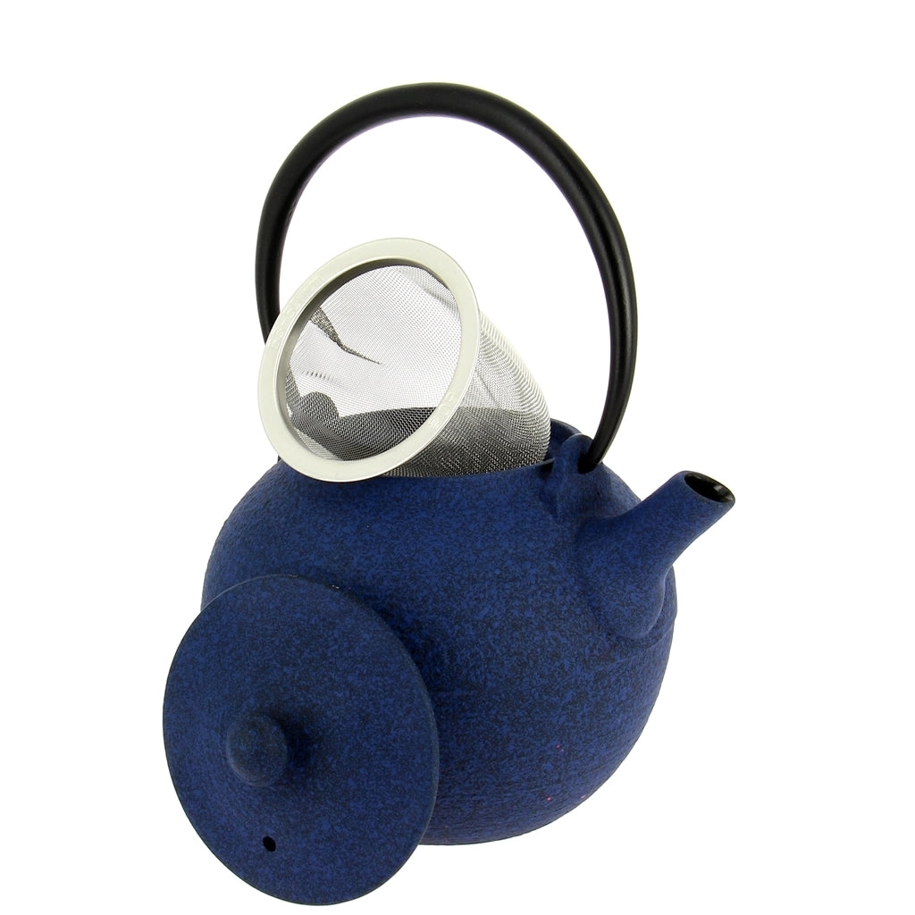 Théière Fonte Japon Wazuqu Hikime Bleue 0.55L