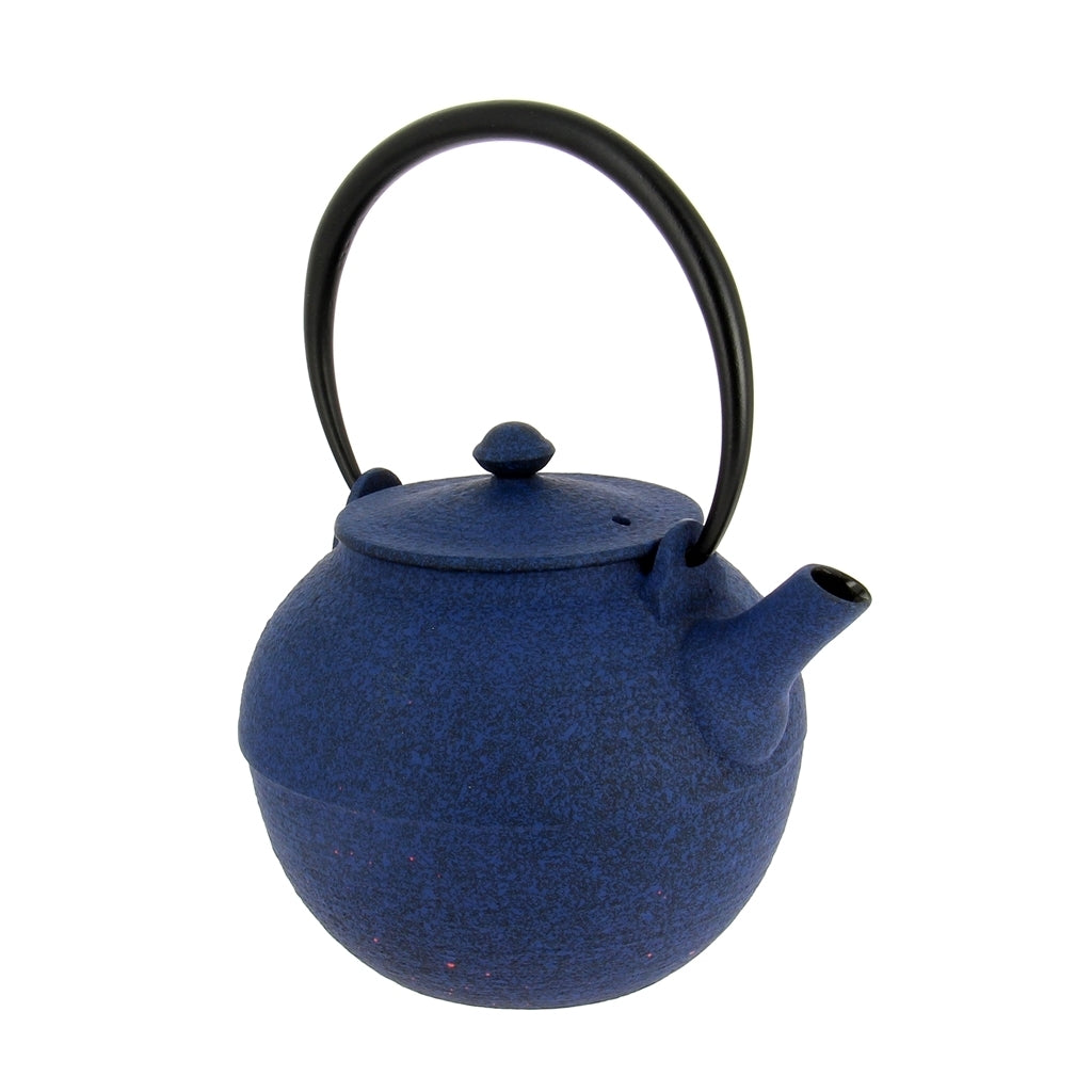 Théière Fonte Japon Wazuqu Hikime Bleue 0.55L