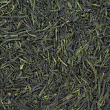 Sencha Yabukita